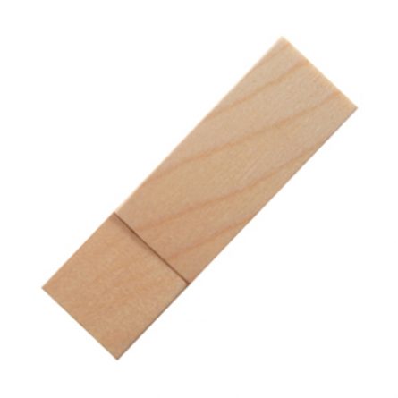 R006 (Flash Drive)