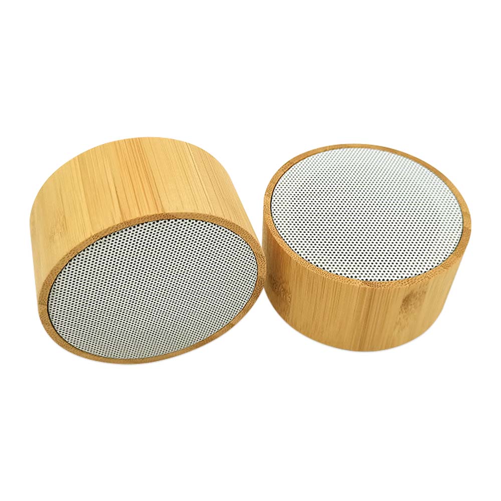 S063 (Bamboo Speaker)