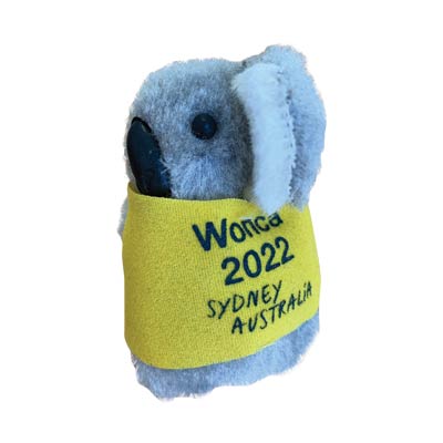 SP138 (Custom Clip on Koala)