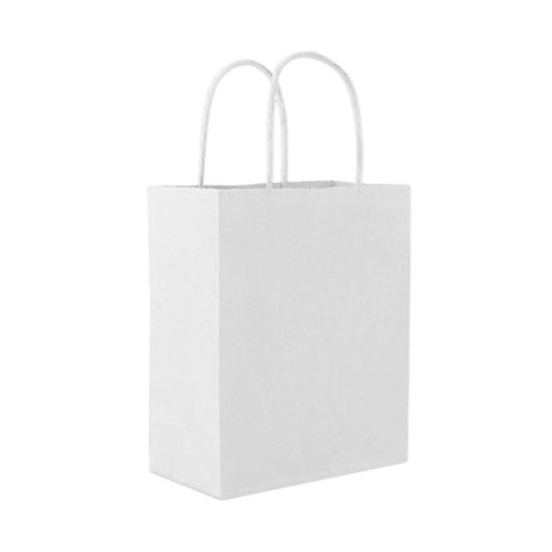 SPB022 (Kraft Paper Bag - M)