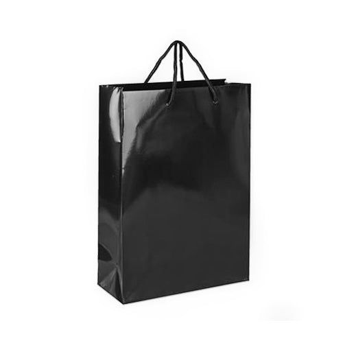 SPB025 (Laminated Paper Bag - S)