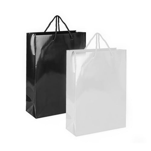 SPB025 (Laminated Paper Bag - S)