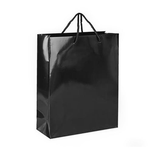 SPB026 (Laminated Paper Bag - M)