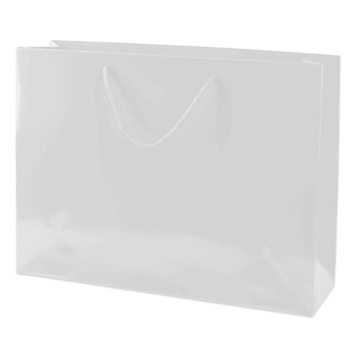 SPB028 (Laminated Paper Bag - XL)