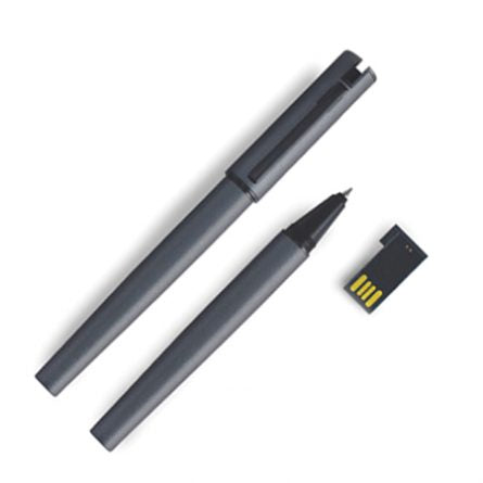 P020 (Flash Drive)