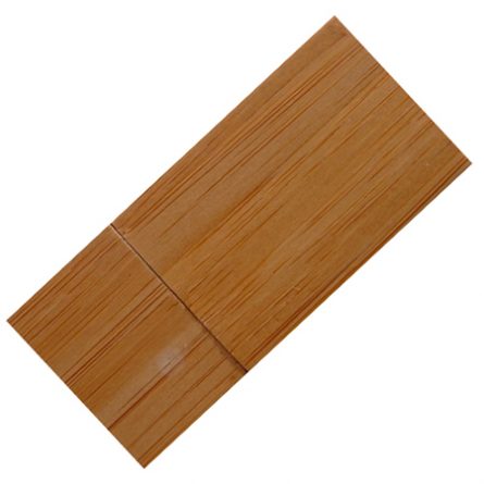 R004 (Flash Drive)