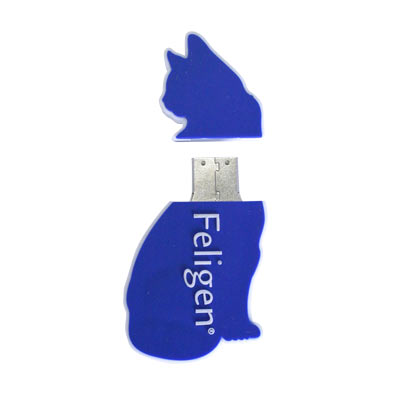 USBCS005 (Custom Shaped USB)